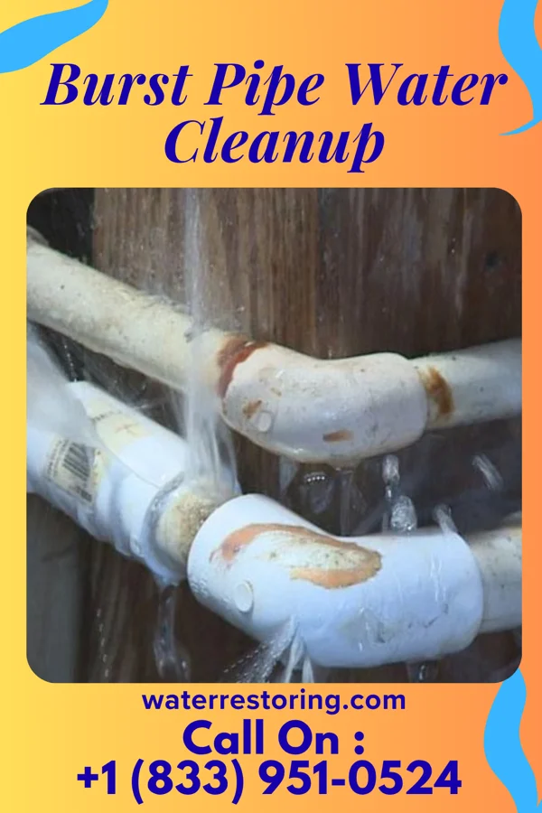 Burst Pipe Water Cleanup in Weaubleau, MO