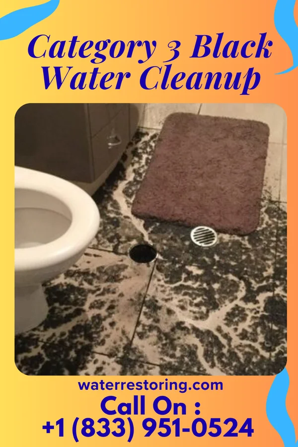 Category 3 Black Water Cleanup in Weaubleau, MO