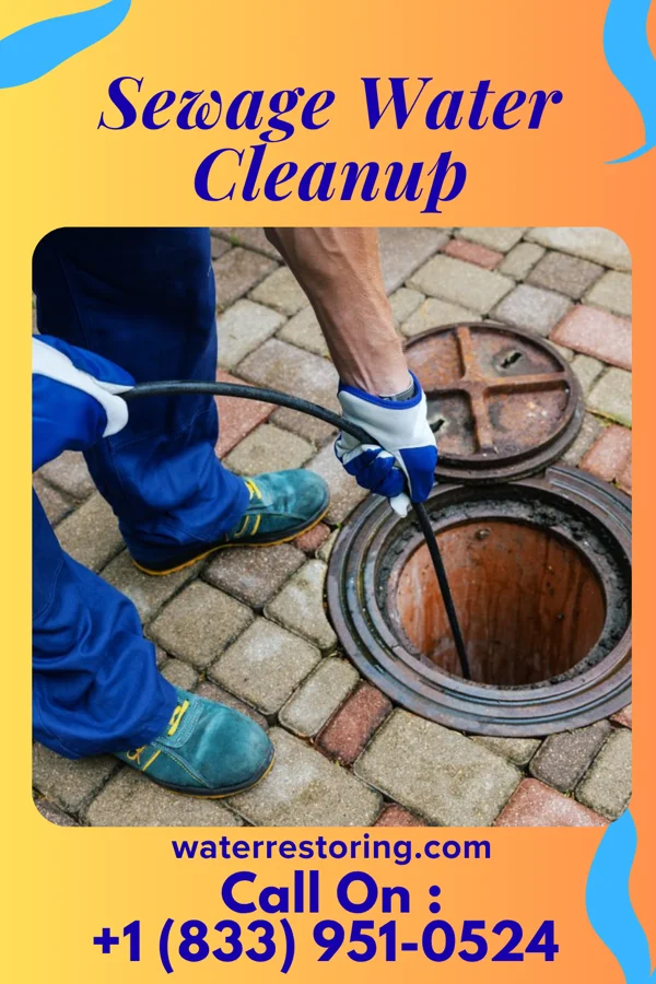 Sewage Water Cleanup in Weaubleau, MO