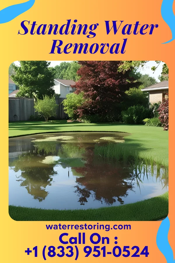 Standing Water Removal in Weaubleau, MO